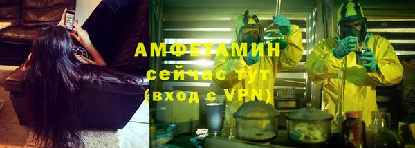 ГАЛЛЮЦИНОГЕННЫЕ ГРИБЫ Баксан