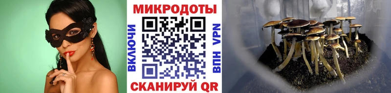 маркетплейс официальный сайт  Печора  Псилоцибиновые грибы GOLDEN TEACHER 