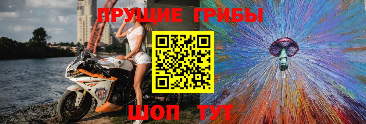 Псилоцибиновые грибы прущие грибы Печора