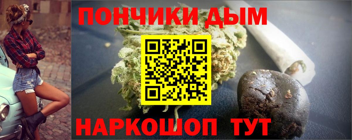 Канабис сатива Печора